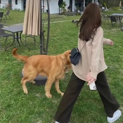 私宠甜心宝贝第三季 在线点播