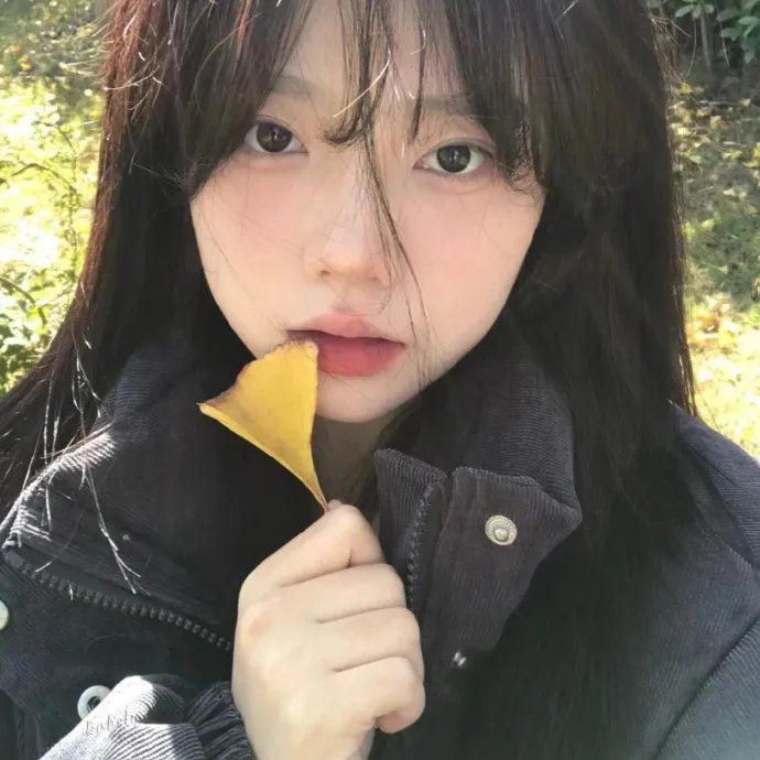 少年与马 在线观看